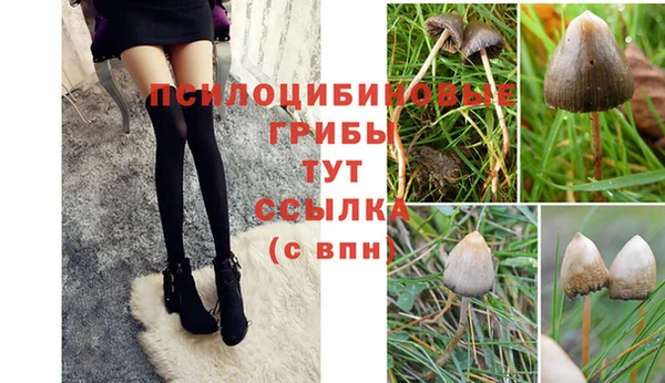мяу мяу мука Богданович