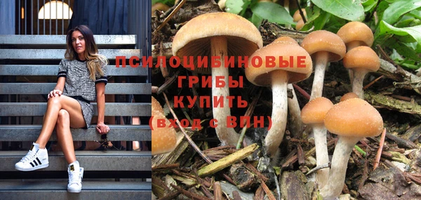 дмт Пересвет