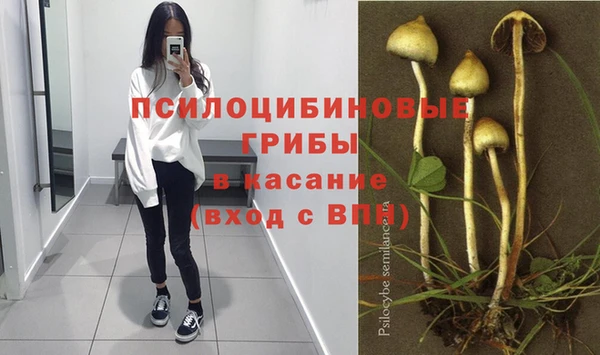 jwh Богородск