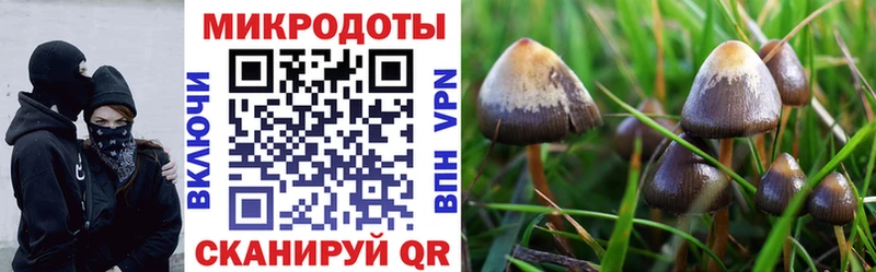 что такое наркотик  Новая Усмань  Псилоцибиновые грибы мухоморы 